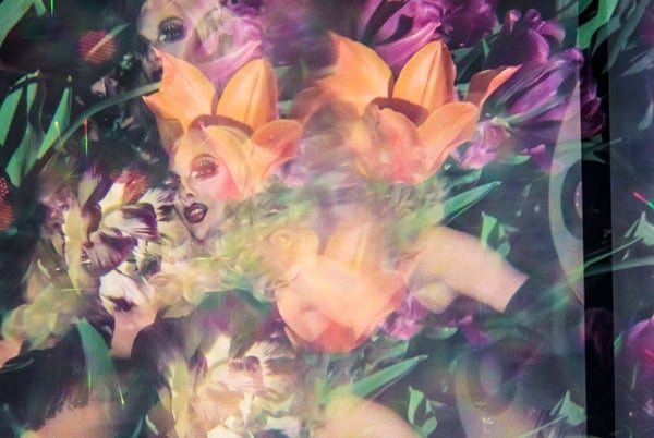Matthew Terrell, Dee-liteful Garden, 2013, archival pigment print, 10 x 15 inches. Photo courtesy of the artist.
