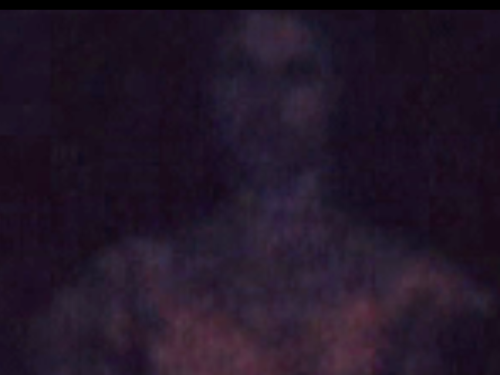 Mark Creegan, Too Sensitive, video still, 2013; 32 minute loop featuring all 175 source images.