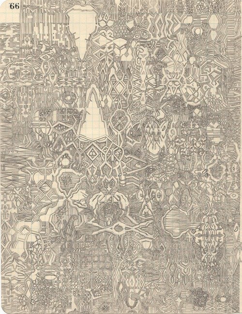 66, 2013.