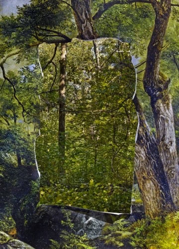 Abelardo Morell, Cutout in Print with Trees Behind, 2013, inkjet print.