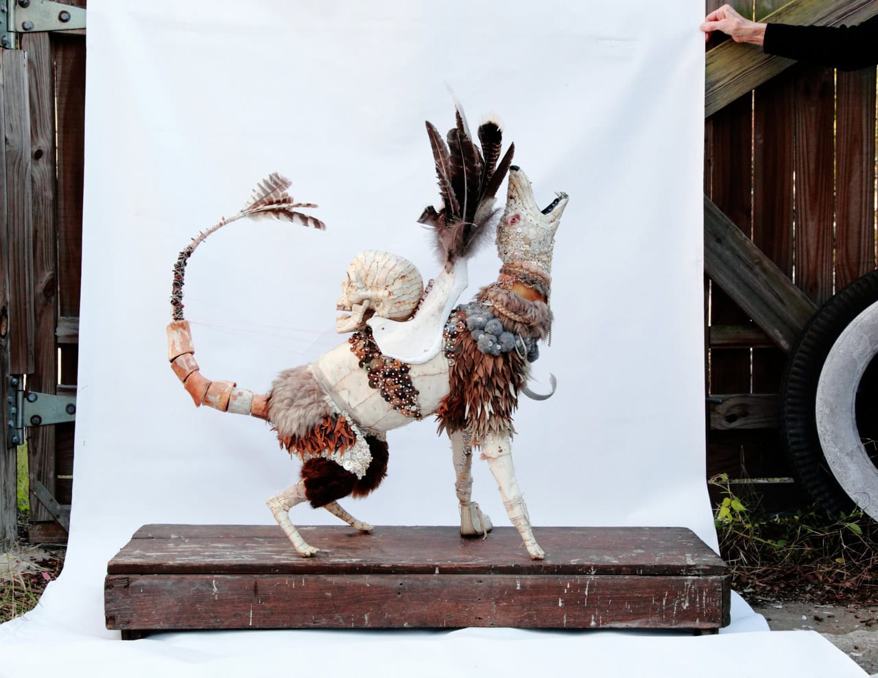 Marcus Kenney, Coyote</i?, 2014.