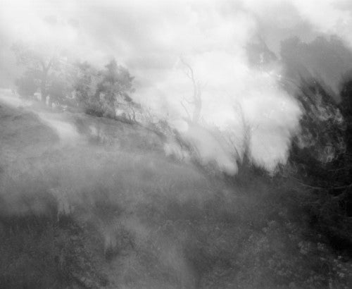 Stephanie Dowda, (Sense) Of Whisper, 2014; silver gelatin print, 20 by 24 inches.