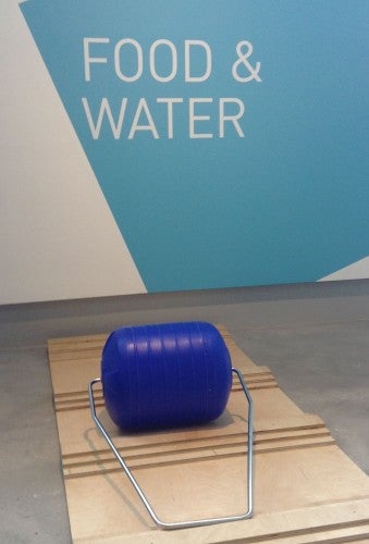 Image 1 Hippo Roller