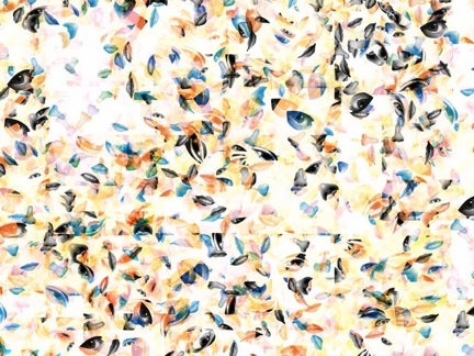 JD Walsh, Distributor 2, 2001; archival giclee print generated from custom software, 22 by 30 inches.