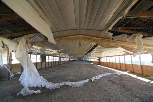 Silk Hope chicken houses, 2013. Chicken houses owned by growers who lost their primary income when Townsend's closed in 2011 sit empty, in many cases, or are being used to store farm equipment. These houses are now obsolete for growing chickens since the industry demands newer houses built to different specifications.