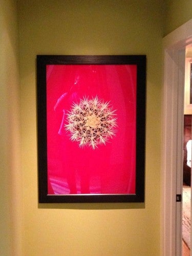 Andres Serrano, Cactus Blood, 2001; Cibachrome, limited edition print, 45 by 32.5 inches.
