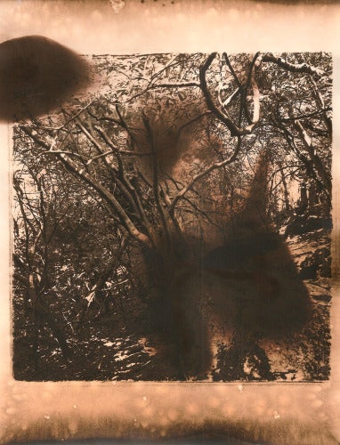 Carolyn Carr, HNC.05, 2014; unique silver gelatin print, 10 by 8 inches.