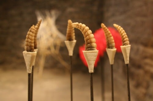Rattle Snake Bowls Detail