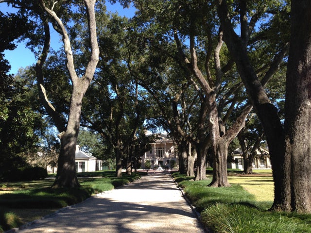 View of the Longue Vue house and gardens.