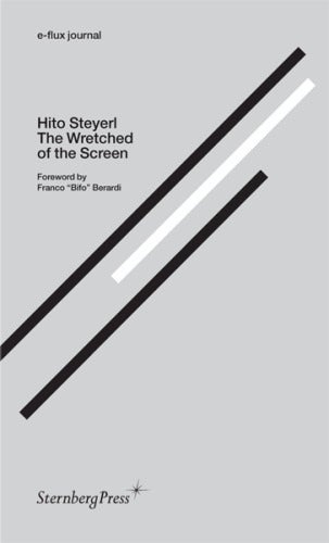 e-flux_Hito-Steyerl_364
