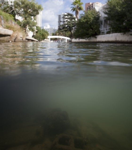 Isabelle Hayeur, Manatee Drive 4, from "Underworlds" series, 2011.
