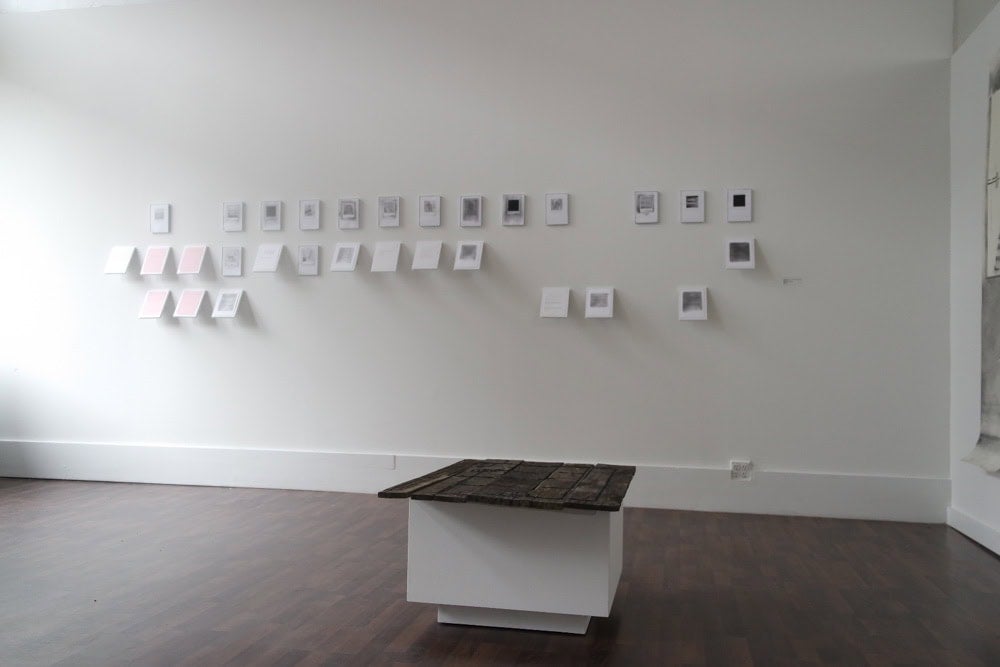 Tia-Simone Gardner, Neither One, or Somewhere In Between, Version II, 2017