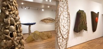 A Walk in the Woods: Michael Murrell at Young Harris College