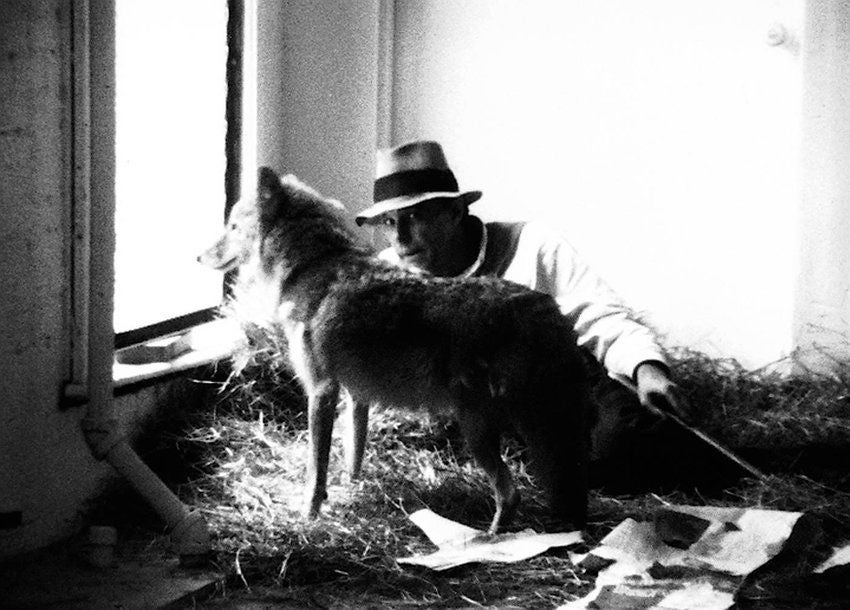 beuys