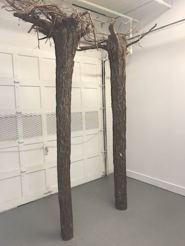 Installation shot from Trevor Reese's “And yet.* / the squid and the whale,” at Day & Night Projects through February 17.