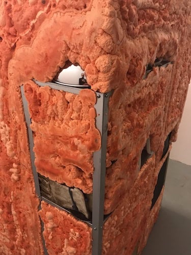 Installation shot from Trevor Reese's “And yet.* / the squid and the whale,” at Day & Night Projects through February 17.