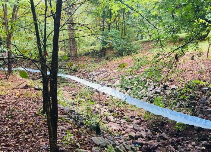 Waterlust, an installation of iridescent banners will follow the veins of forgotten streams in woody area of Grant Park