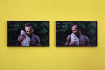 Hedges, Edges, Dirt and Rashid Johnson at VCU’s ICA in Richmond