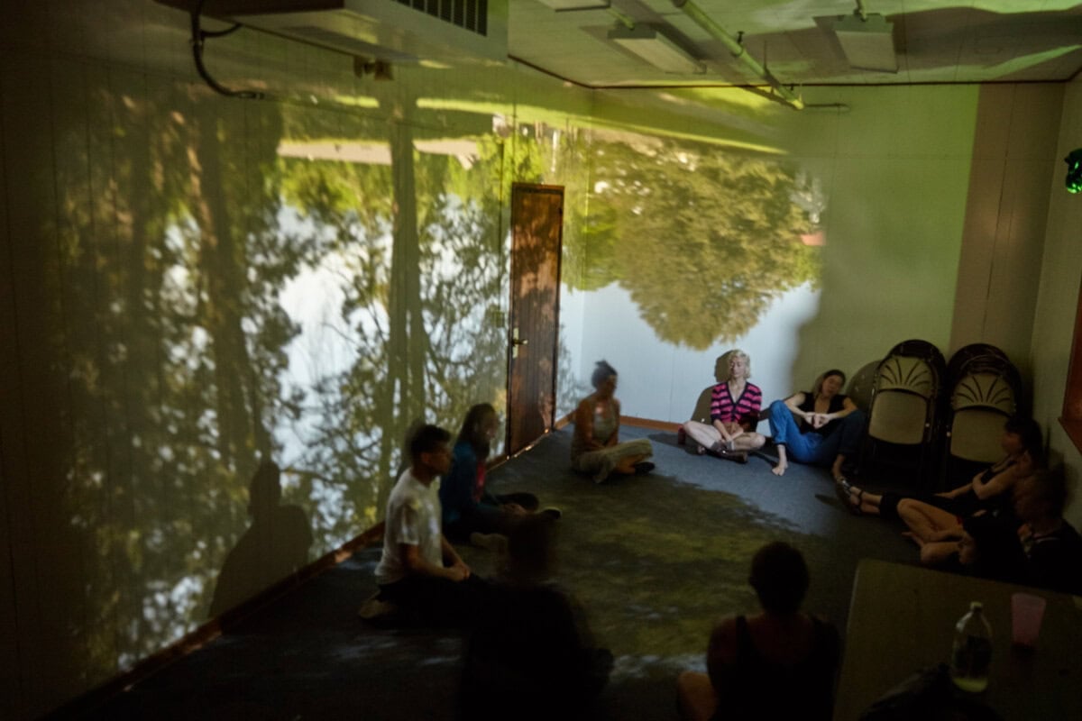 School of the Alternative in Black Mountain, North Carolina