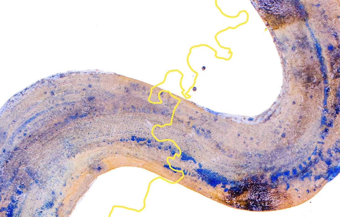 Mississippi v. Tennessee: Flow Path