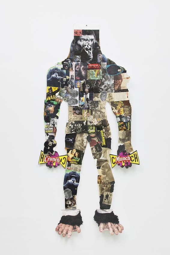 a collage of images of apes in the shape of a human body