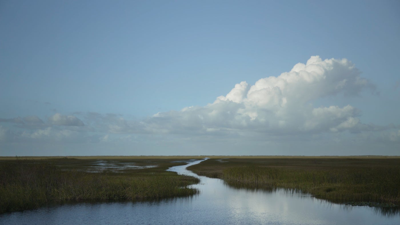 a river flowing through grass