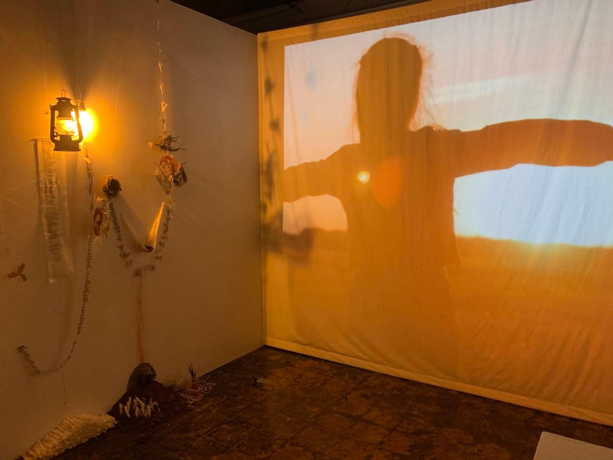Brandi Shah at Vinegar Projects, Birmingham