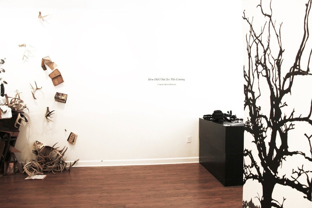 Lauren Alyssa Howard’s Down-home Wasteland, at Fieldwork Projects, Auburn
