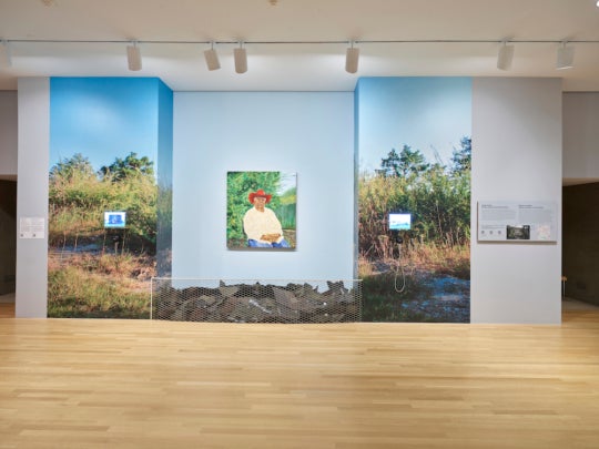 Rooted at the Dallas Museum of Art