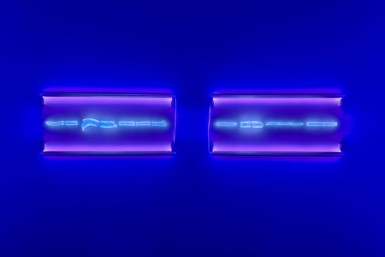 Installation view of blue fluorescent objects