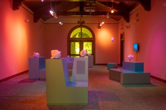 Dreams of Unknown Islands: St. Augustine by Sasha Wortzel at Crisp-Ellert Art Museum, St. Augustine