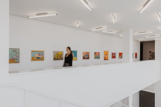 Flesh and Bone by John Guzman at the Blaffer Art Museum, Houston