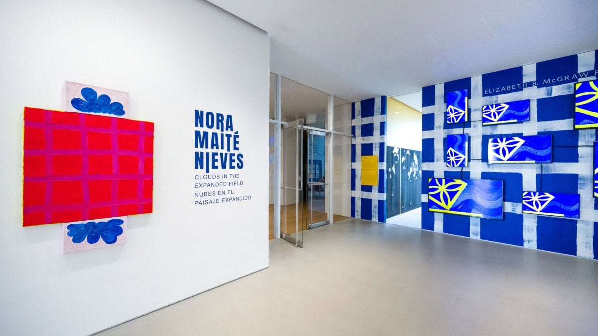 installation view of museum exhibition