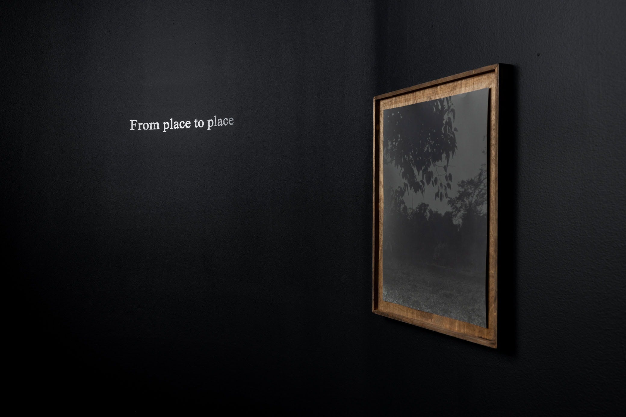 Installation view of Amanda Bradley's work in Of what surrounds me at The Patricia and Phillip Frost Art Museum at Florida International University, Miami. Photograph by Pedro Wazzan and courtesy of The Patricia and Phillip Frost Art Museum at Florida International University, Miami. 