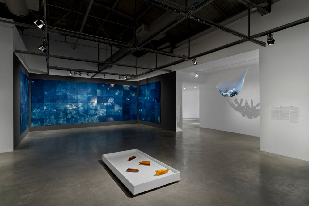 Andrea Chung: Between Too Late and Too Early at Museum of Contemporary Art, North Miami