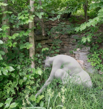 a Trace, Spring, Swell: A Speculative Archeology of Mineral Springs and Bathhouses