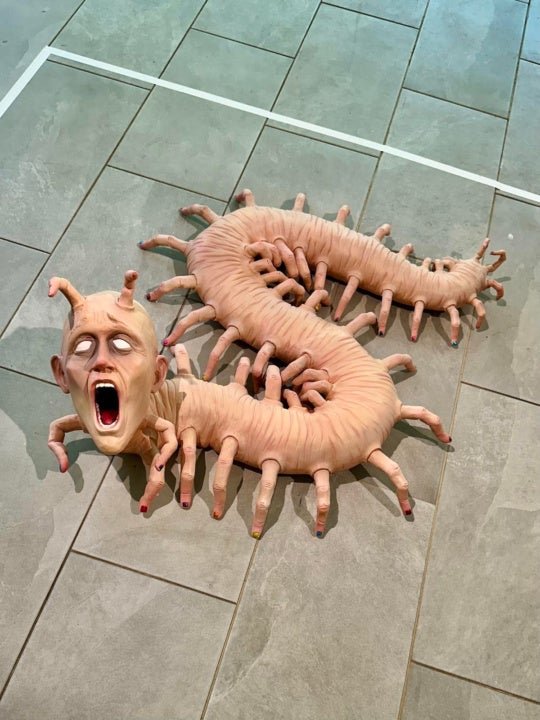https://s1.burnaway.org/wp-content/uploads/2025/06/Shaner_Centipede2-540x720.jpg