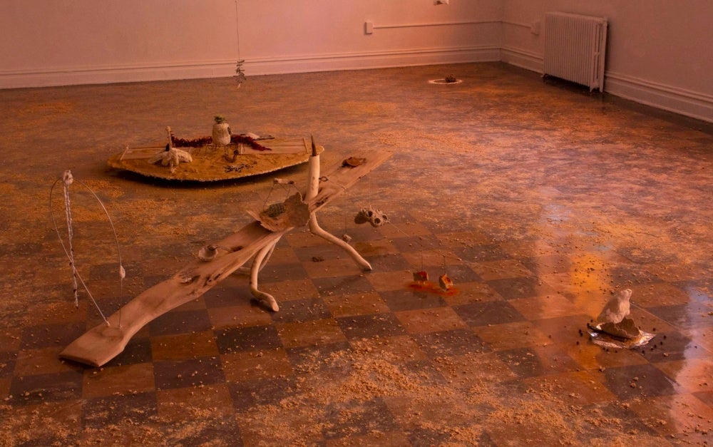 Installation view of larí garcia, 