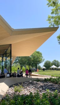 Arkansas Museum of Fine Arts