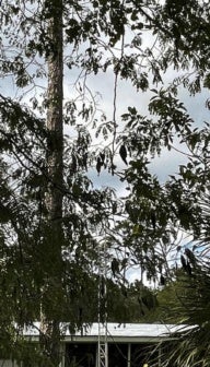 AIRIE (Artists in Residence in Everglades)